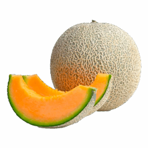 100% Premium Quality Garden Fresh Mango